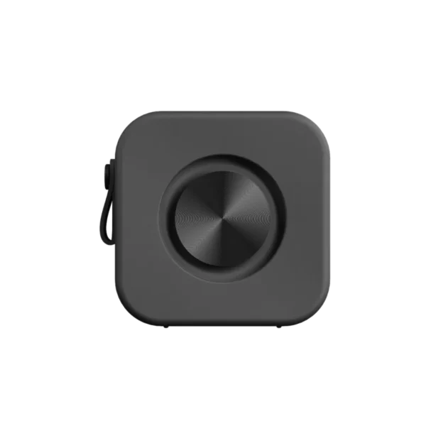 Sudio F2 Portable Bluetooth Speaker Black